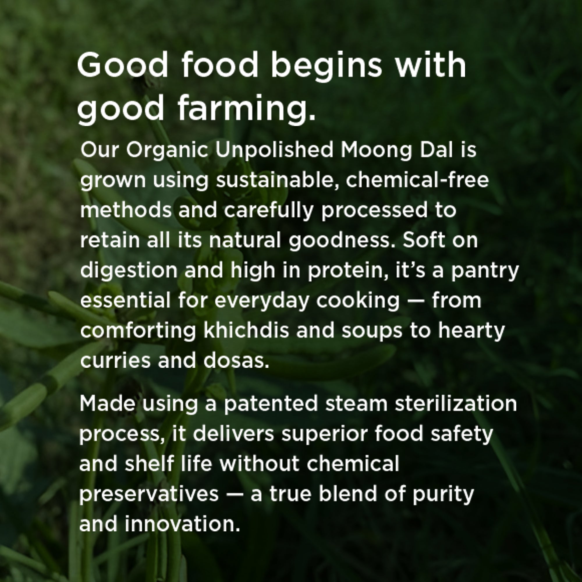 Organic Moong Dal - Image 8