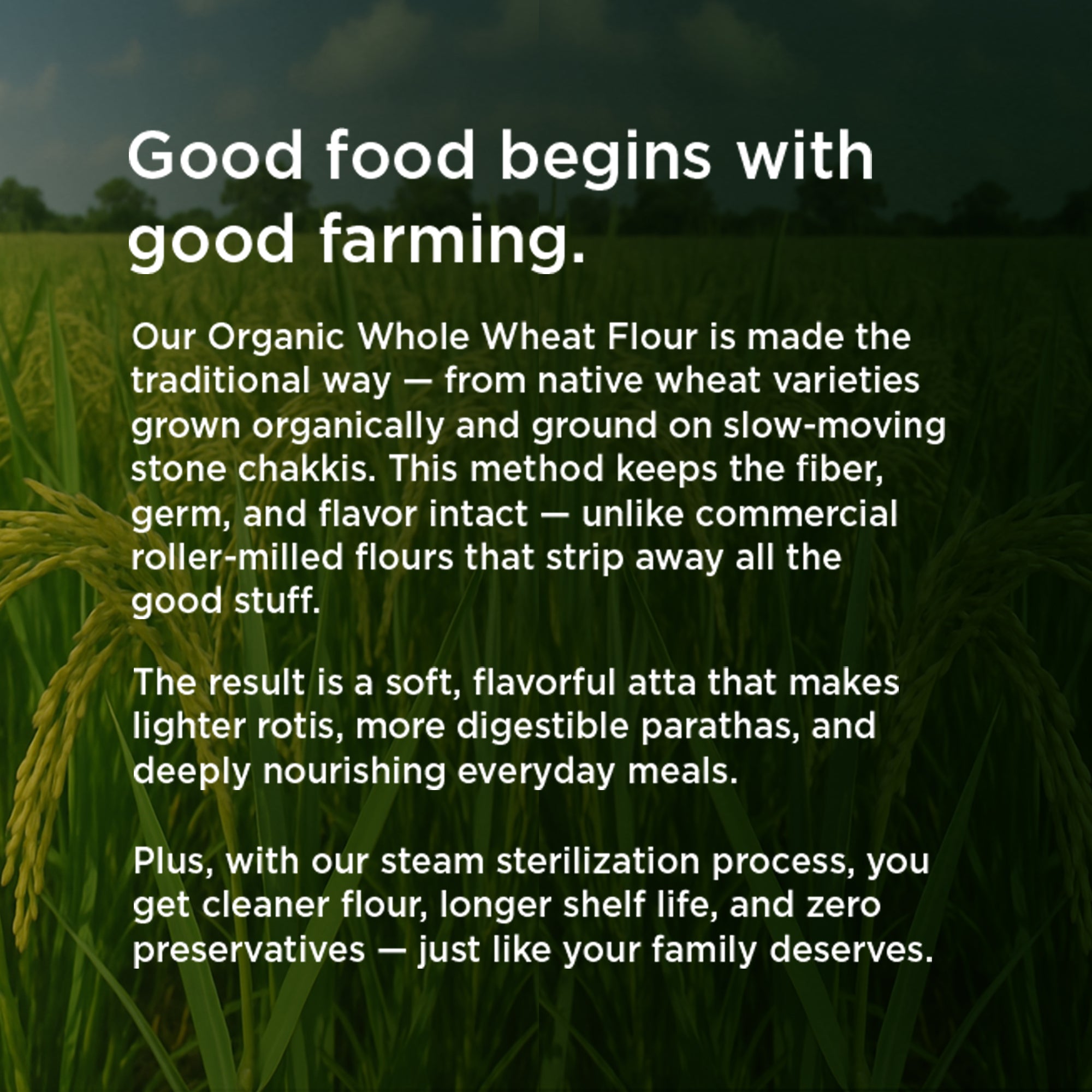 Organic Rice Flour - Image 8