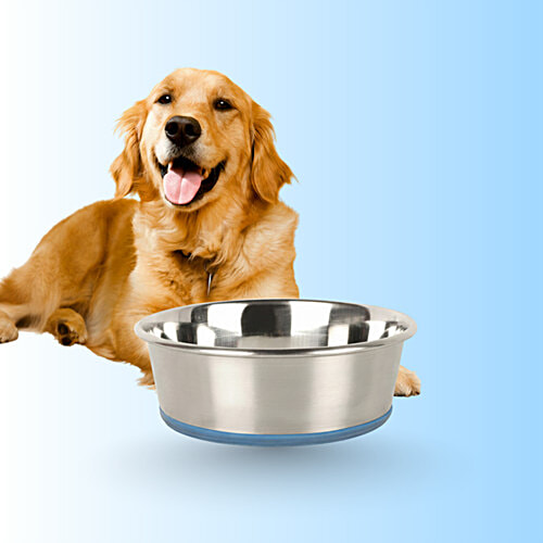Anti Skid Stainless Steel Dog/Cat Bowl